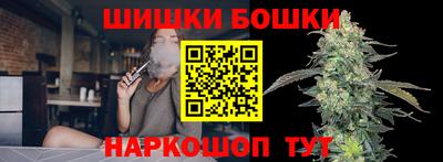 индика Моздок
