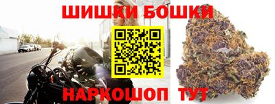 индика Моздок