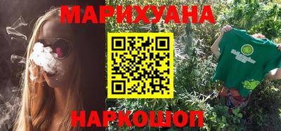 индика Моздок