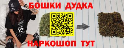 индика Моздок