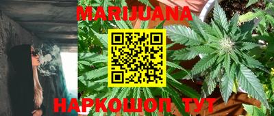 индика Моздок
