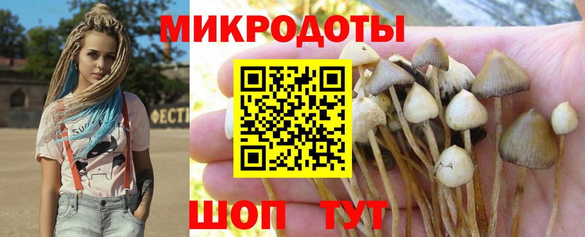 Псилоцибиновые грибы ЛСД  Вход с VPN  Сальск 